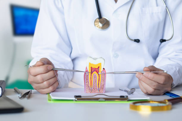 Best Cracked Tooth Emergency Dentist  in Johnson Creek, WI